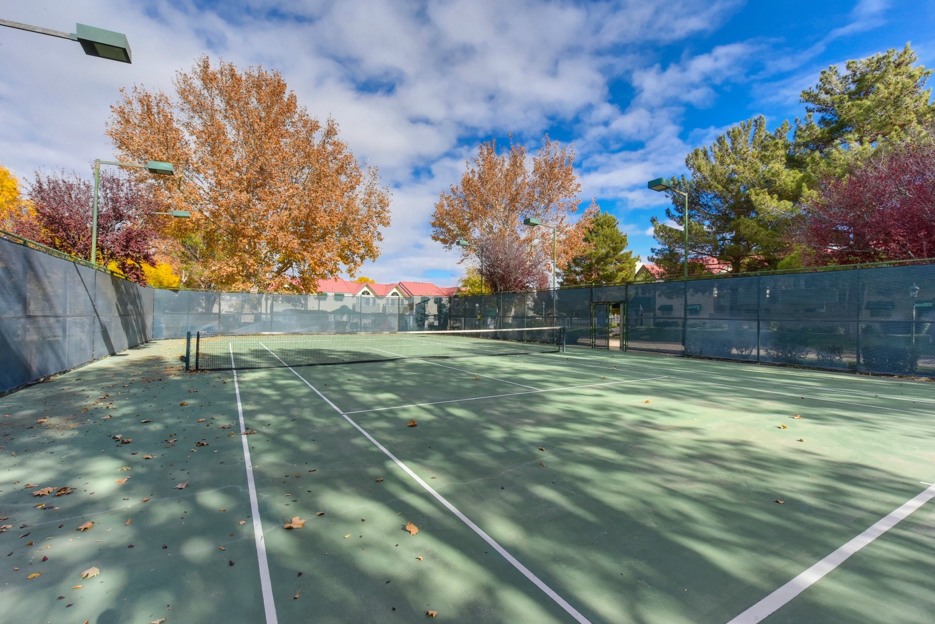 Tennis Court with Net, Autumn Leaves On Ground and Large Trees